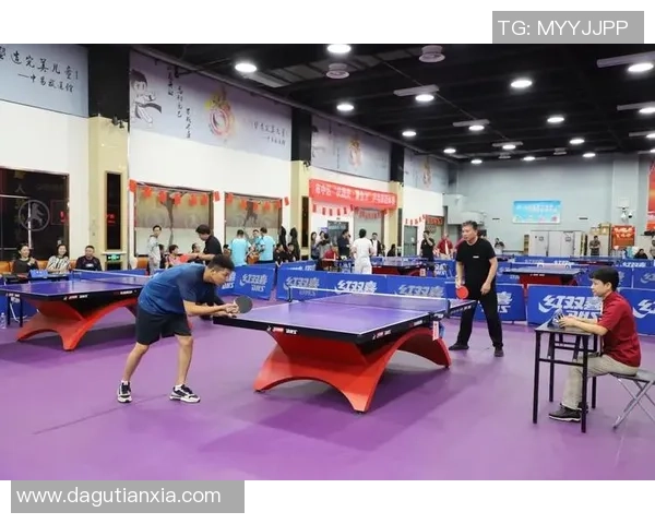 上海乒乓球队在冠军赛中的团队协作表现分析与展望