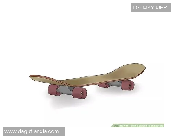 北京滑板队速度表现数据分析揭示运动员潜力与训练效果的深度关系 北京滑板队速度表现数据分析揭示运动员潜力与训练效果的深度关系