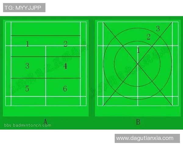 武汉羽毛球队在联赛中的速度优势与战术分析 武汉羽毛球队在联赛中的速度优势与战术分析